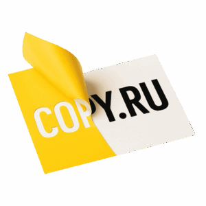 pechat-nakleek-s-plotternoy-rezkoy-copy-ru