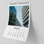  - картинка 8