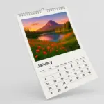  - картинка 10