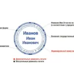  - картинка 5