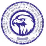  - картинка 6