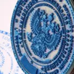  - картинка 5