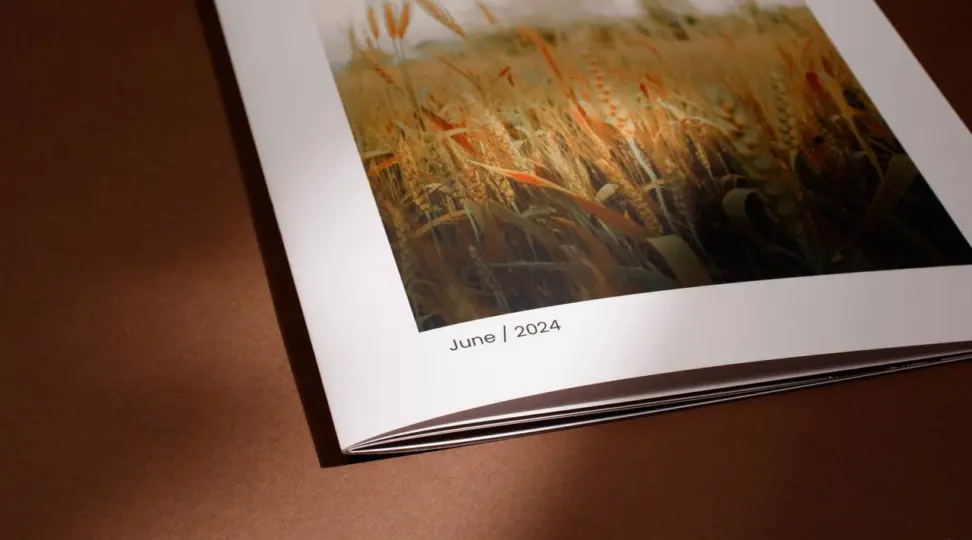 Брошюра на скобе - картинка 3