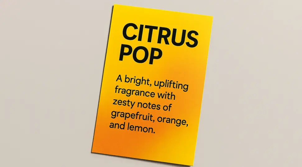  - картинка 6