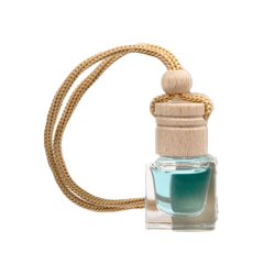 Сувениры в автомобиль в Copy.ru