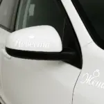  - картинка 12