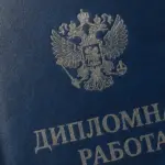  - картинка 8