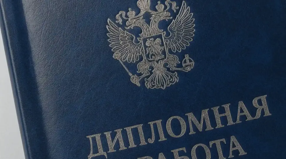  - картинка 2